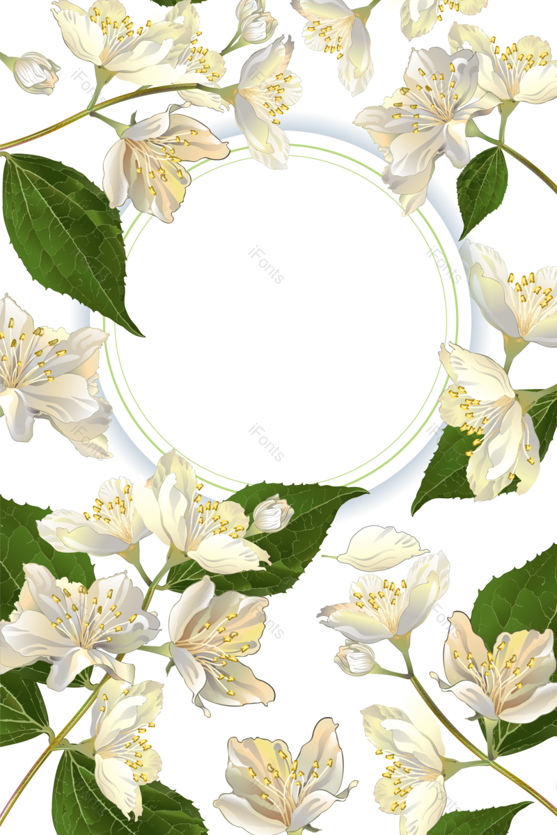 边框图片,花卉元素,花卉边框PNG,花朵免抠素材